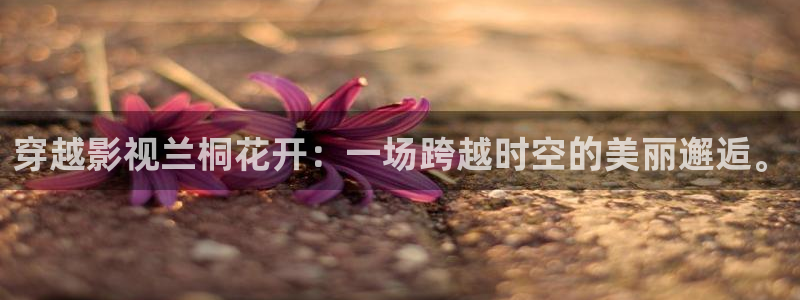 九七西瓜电影院