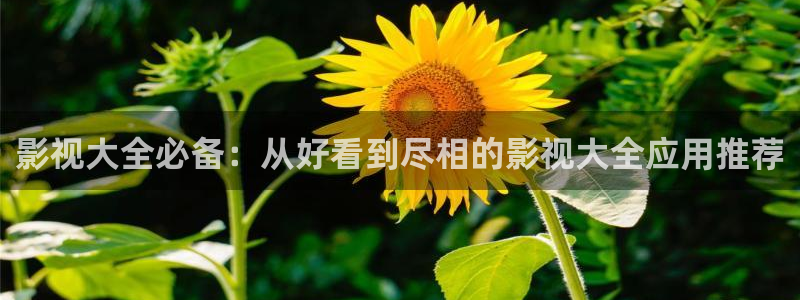 西瓜影院电视剧免费播放