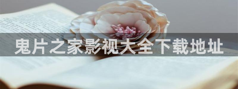 你好星期六免费观看西瓜影院
